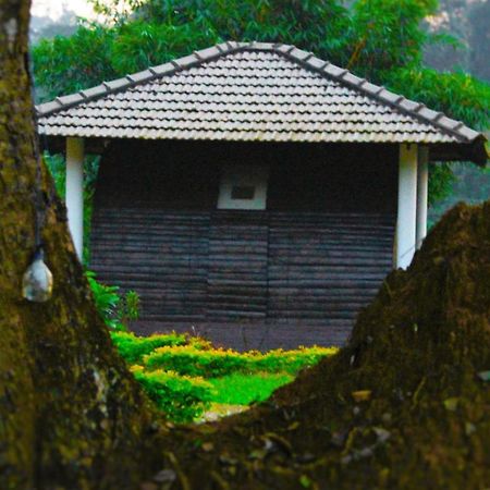 Muccole Stay Napoklu Esterno foto
